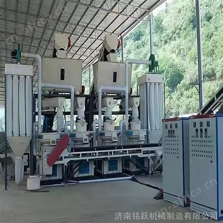木质压缩颗粒机设备 家具厂下脚料再利用 木颗粒燃料大型颗粒机生产线