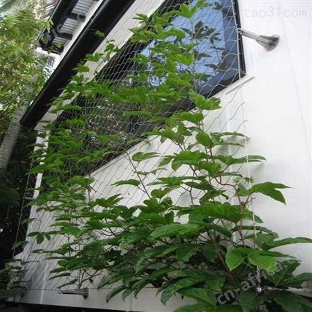 植物攀爬网楼梯防坠网 天台防坠网 景区防坠网