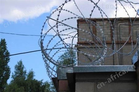 河北西润精工制造倒刺滚笼墙头防护网现货销售