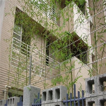 吴江304刀片刺绳带电刀片刺绳  直线刀片刺绳新型防护网产品欢迎选购