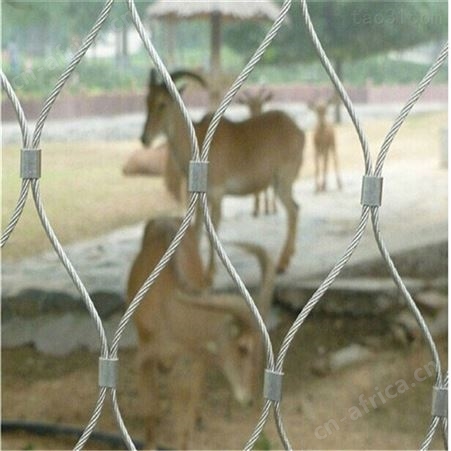 敦化支持定做防坠网钢丝绳网兜桥梁防坠网建筑工立柱防护栏美观大方