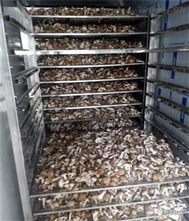 热泵烘干机 农用干燥机械 果蔬烘干设备 小蒜烘干房节能环保