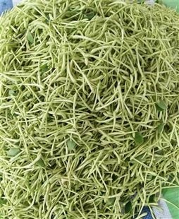 香肠腊肉 粉皮粉条烘干机 农用果蔬烘干房 耗能低环保聚鑫机械