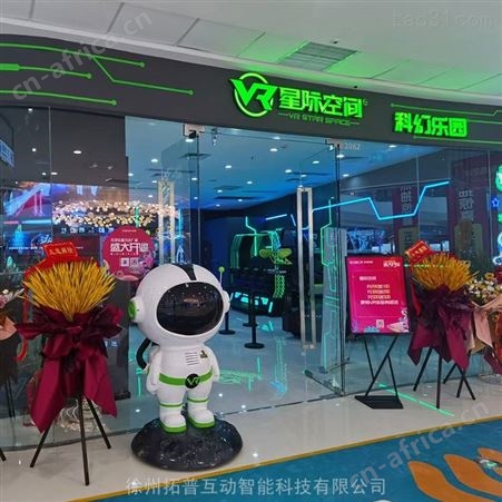 休闲娱乐室内大型 刺激型游乐设备  vr体感设备VR加盟 拓普互动