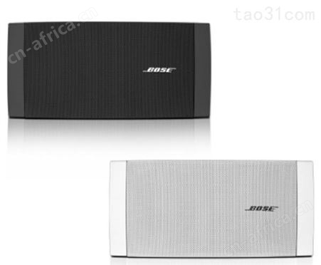 美国/BOSE（博士）音箱 DS40SE壁挂音箱