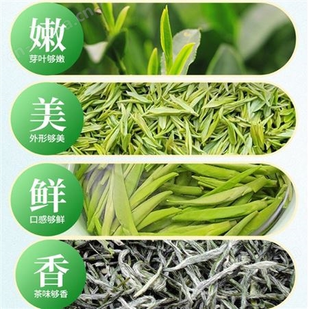 盛创汇联特级毛尖 嫩牙绿茶 茶叶礼盒装500g平台团购