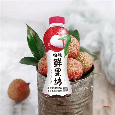 荔枝味果肉果汁饮料450ml整箱销售夏季果味饮品
