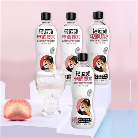 轻运动电解质水含气型维生素饮料