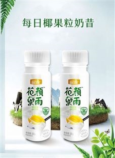 鲜果奶昔乳酸菌饮品310克黄桃味果粒奶乳味饮料