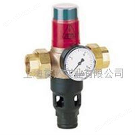 R295倒流防止器 R295