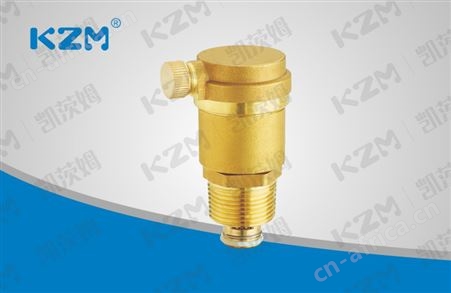 B725X-16T黄铜自动单向排气阀