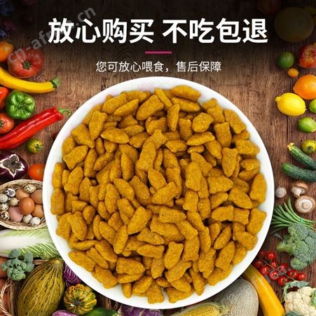 安肯全期猫粮1.5kg成猫幼猫通用型三文鱼万寿菊宠物猫咪橘猫主粮