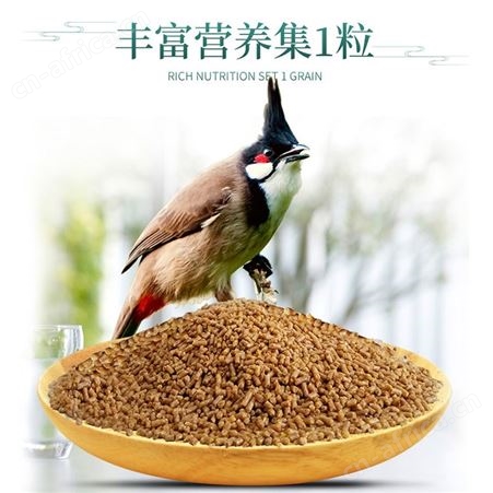 开元牌红耳鹎专用鸟食鸟粮红屁股白头翁鸟靓羽