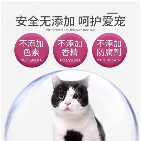 安肯金标幼猫粮三文鱼羊奶双拼美毛肠胃奶猫咪主粮奶糕10kg