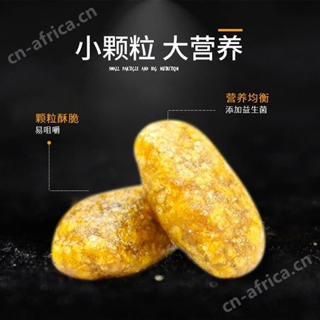 安肯金标成猫粮10kg海鲜味双拼美毛肠胃美短渐层猫咪主粮