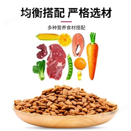安肯全期猫粮1.5kg成猫幼猫通用型三文鱼万寿菊宠物猫咪橘猫主粮
