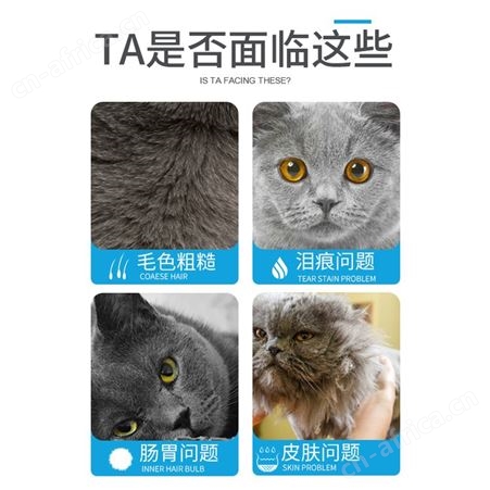 安肯金标成猫粮10kg海鲜味双拼美毛肠胃美短渐层猫咪主粮