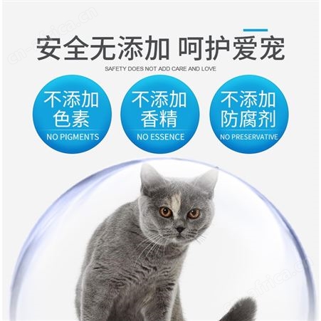 安肯金标成猫粮10kg海鲜味双拼美毛肠胃美短渐层猫咪主粮