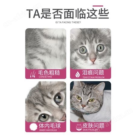 安肯金标幼猫粮三文鱼羊奶双拼美毛肠胃奶猫咪主粮奶糕10kg