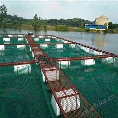 泥鳅黄鳝的网箱存鱼 水蛭网箱批发定制 福利 鱼苗养殖网箱