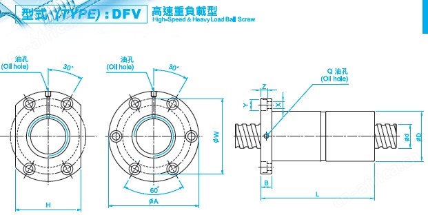 DFV2010滚珠丝杠图