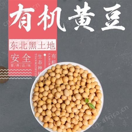 大豆批发 黑龙江非转基因笨黄豆厂家整车直销价格 25kg现货供应磨豆浆 和粮农业