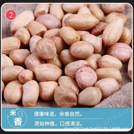 杂粮出口 黑龙江有机五谷杂粮对外贸易 花生高粱黑豆绿豆芸豆小米红小豆燕麦等二十多种有机杂粮出口