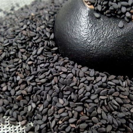 黑芝麻 有机黑芝麻 农家五谷杂粮 粗粮  和粮农业芝麻真空包装730g代加工