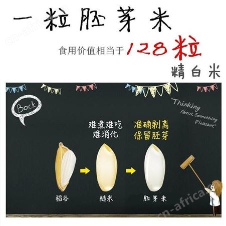 胚芽米批发 稻花香2号全胚芽米贴牌代加工 五常产地厂家供应高留胚率 胚芽完整度高 germ rice