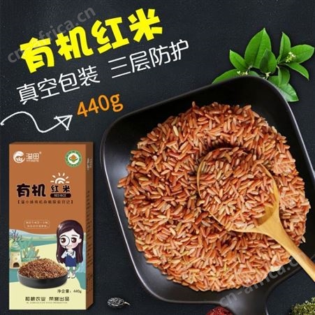 和粮农业 溢田 有机红米五谷杂粮东北特色红米440g批发