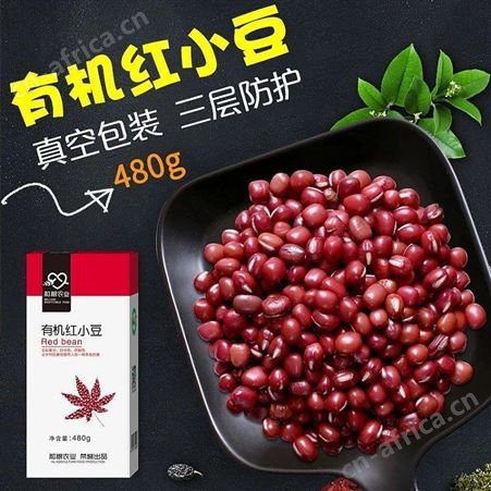 杂粮出口 黑龙江有机五谷杂粮对外贸易 花生高粱黑豆绿豆芸豆小米红小豆燕麦等二十多种有机杂粮出口