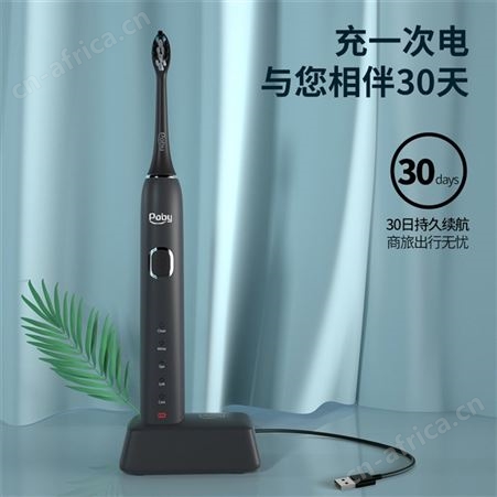 Poby 电动牙刷成人智能声波震动牙刷男女士情侣礼物 YPE0021