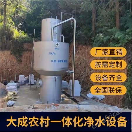 D-CJSB-15T大成农改水设备 304不锈钢大型农村一体化水处理净水设备