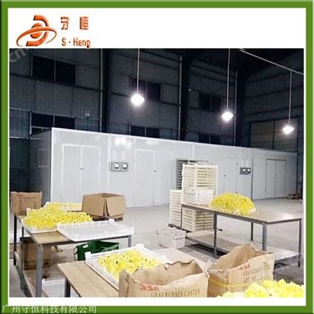 湖南湘玉竹烘干机 大型节能玉竹烘干机设备