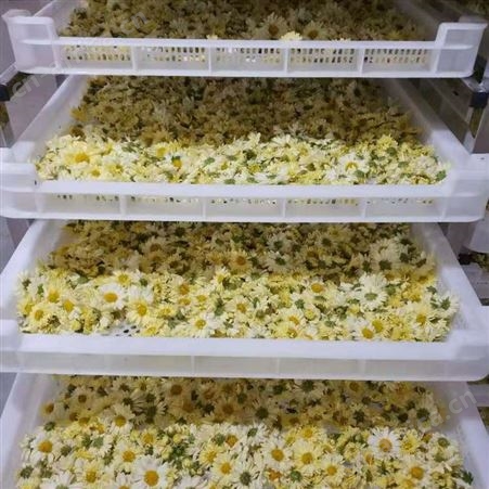 小型黄花菜烘干机的价格 湖北黄花菜烘干机 甘肃黄花菜烘干设备
