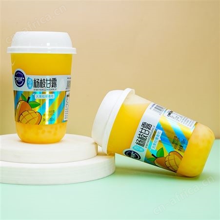 简乐派果肉果汁饮料大果粒奶昔乳酸菌饮料乳饮品招商代理
