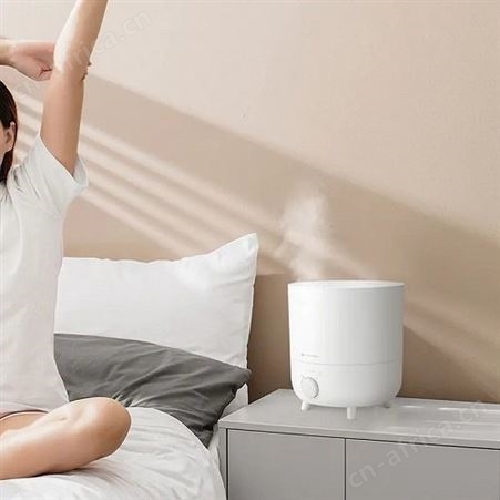 达氏Dustie加湿器家用室内小型便携大雾量喷湿DHM30G