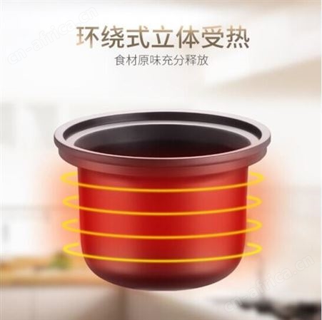 苏泊尔(SUPOR) 电炖锅电炖盅煲汤锅炖汤锅DG30YK11