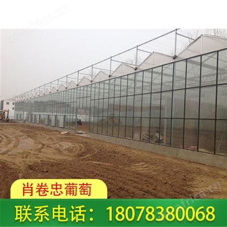 广西温室大棚|河池智能连栋花卉大棚报价优惠