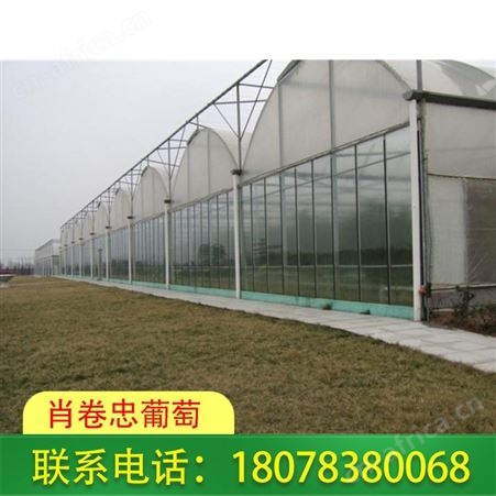 桂林温室工程承接_花卉大棚公司服务好