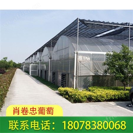 桂林永福连栋温室大棚-玻璃温室工程可上门设计