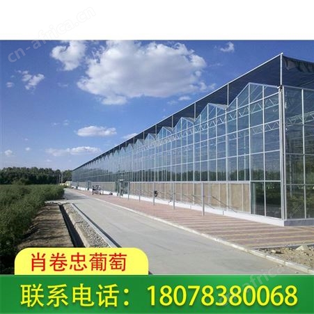 桂林温室工程承接_花卉大棚公司服务好