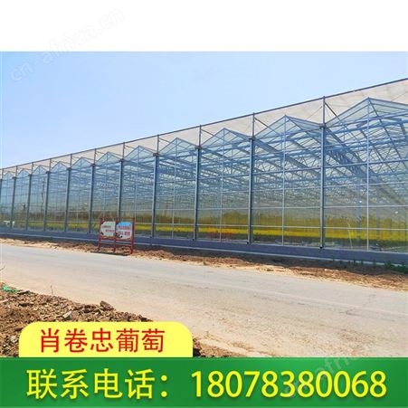 桂林永福连栋温室大棚-玻璃温室工程可上门设计
