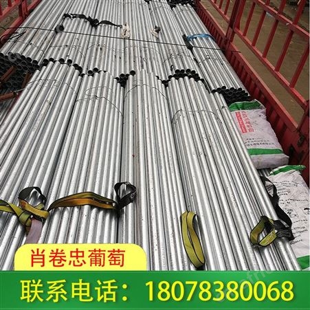 广西全州钢结构连栋大棚安装工程