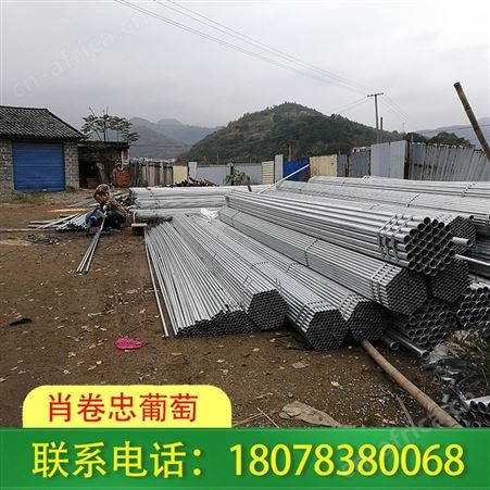 贺州钢管蔬菜大棚抗风雪能力强