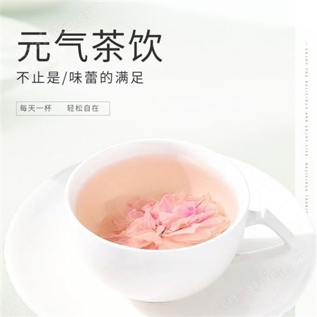 道养智玫瑰茶冷泡茶冻干纯花草茶组合袋水泡茶源头