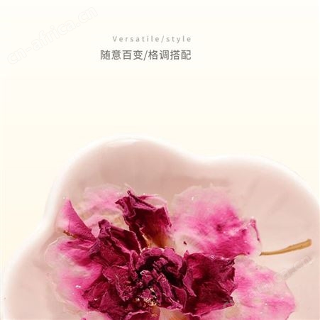 道养智玫瑰茶冷泡茶冻干纯花草茶组合袋水泡茶源头