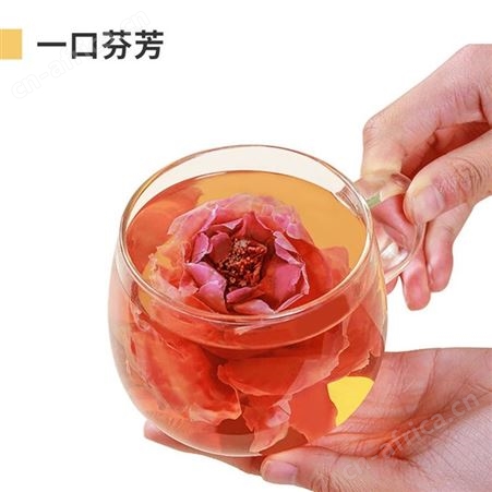 道养智玫瑰茶冷泡茶冻干纯花草茶组合袋水泡茶源头