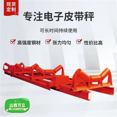 万立科技皮带计量称 国内电子皮带秤 散料称重皮带称支持定制