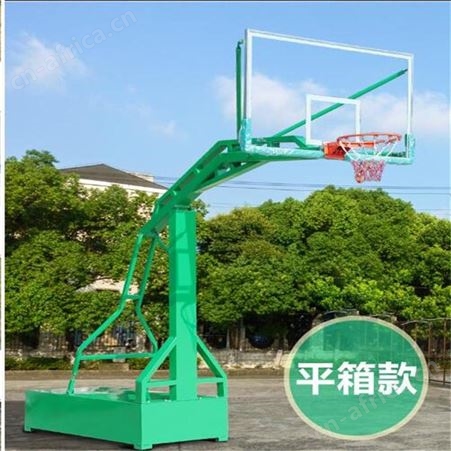 华丽体育篮球架成人户外标准比赛可移动训练室外家用篮球框学校广场篮球架